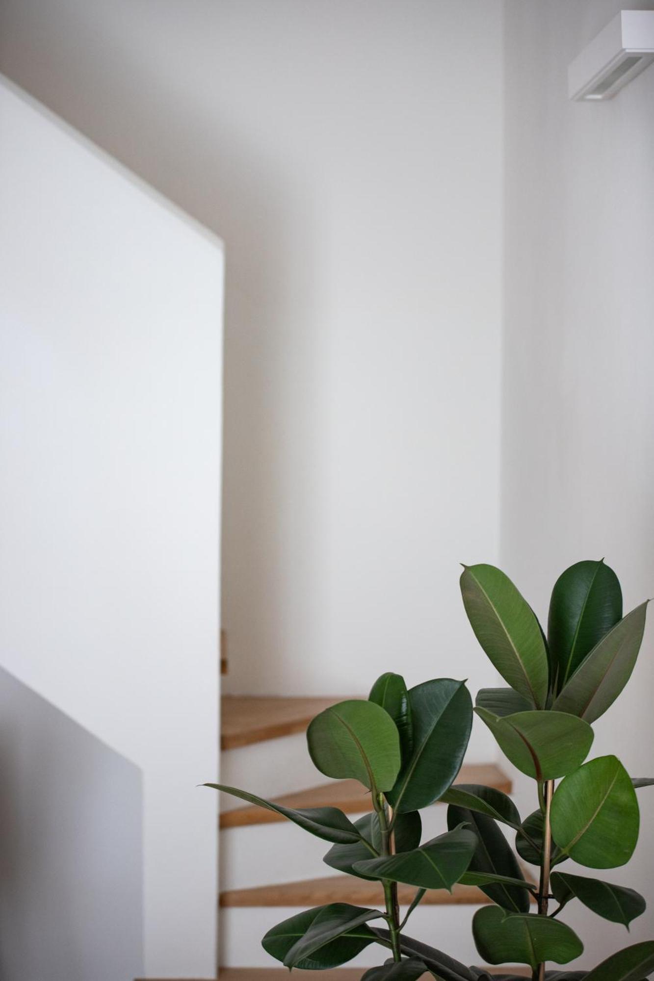 Santo Stefano Loft Apart otel Bolonya Dış mekan fotoğraf